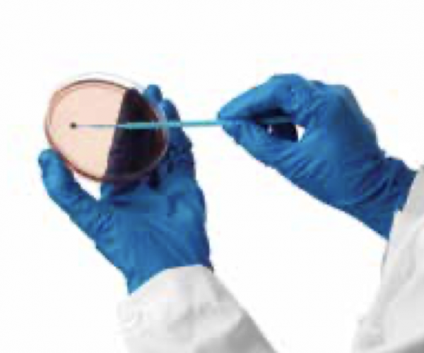 Thermo Scientific Culti-Loops Quality Control Organisms