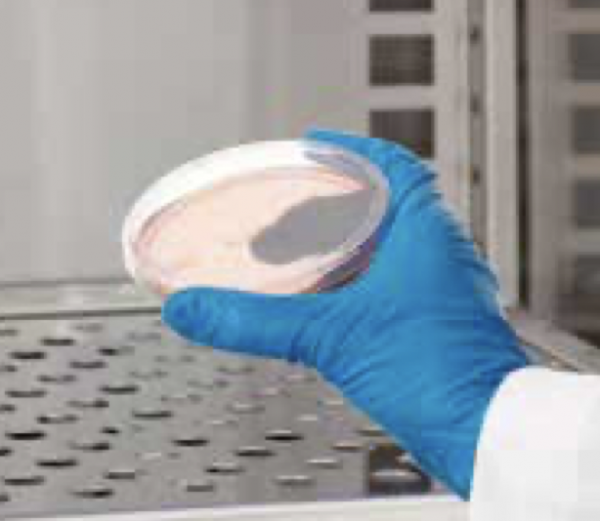 Thermo Scientific Culti-Loops Quality Control Organisms